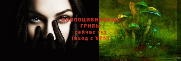 гидра Алзамай