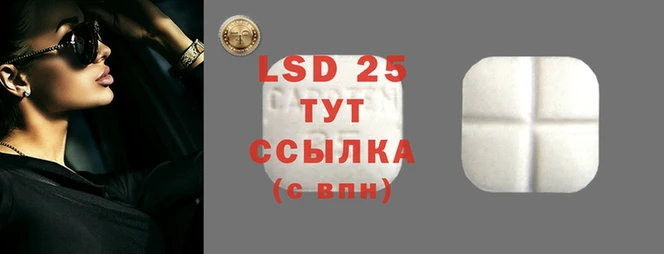 гидра Алзамай