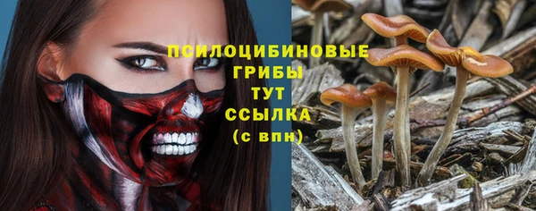 гидра Алзамай