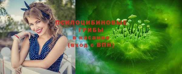 крисы Алексеевка