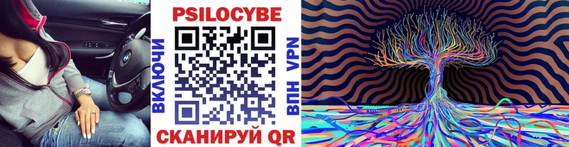 Галлюциногенные грибы Magic Shrooms  блэк спрут ссылки  Копейск 